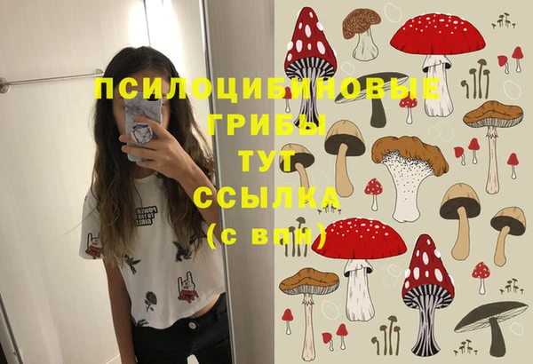 стафф Алексин