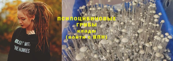 стафф Алексин