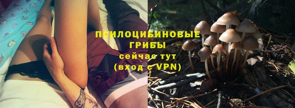 тгк Абаза